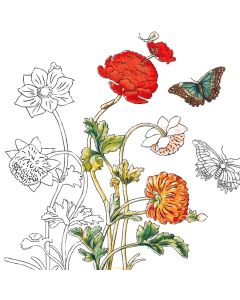 Fridolin Рисунка в рамка-МЕРИАН-4 рис.-Оцвети -11155