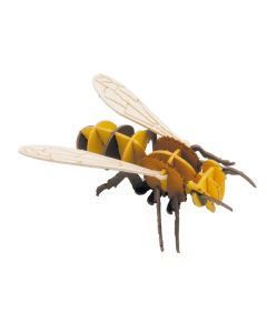 Fridolin 3D Модел за сглобяване от картон-СТЪРШЕЛ-11683