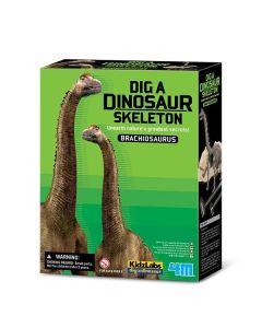 4m Брахиозавър-Изкопай скелет 