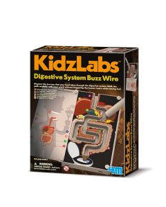 4m Храносмилателната система чрез звънчева инсталация 