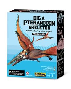 4m Птеранодон-Изкопай скелет 